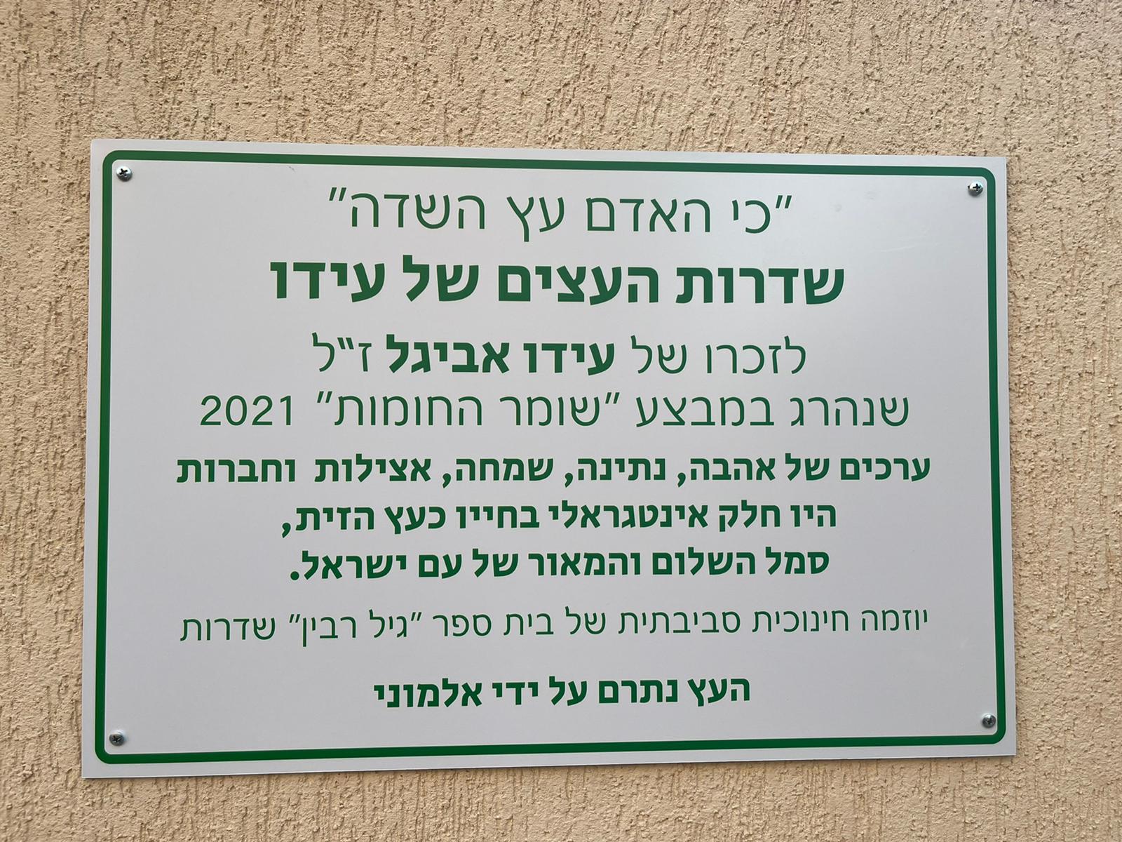 Ido's Tree Avenue Sderot